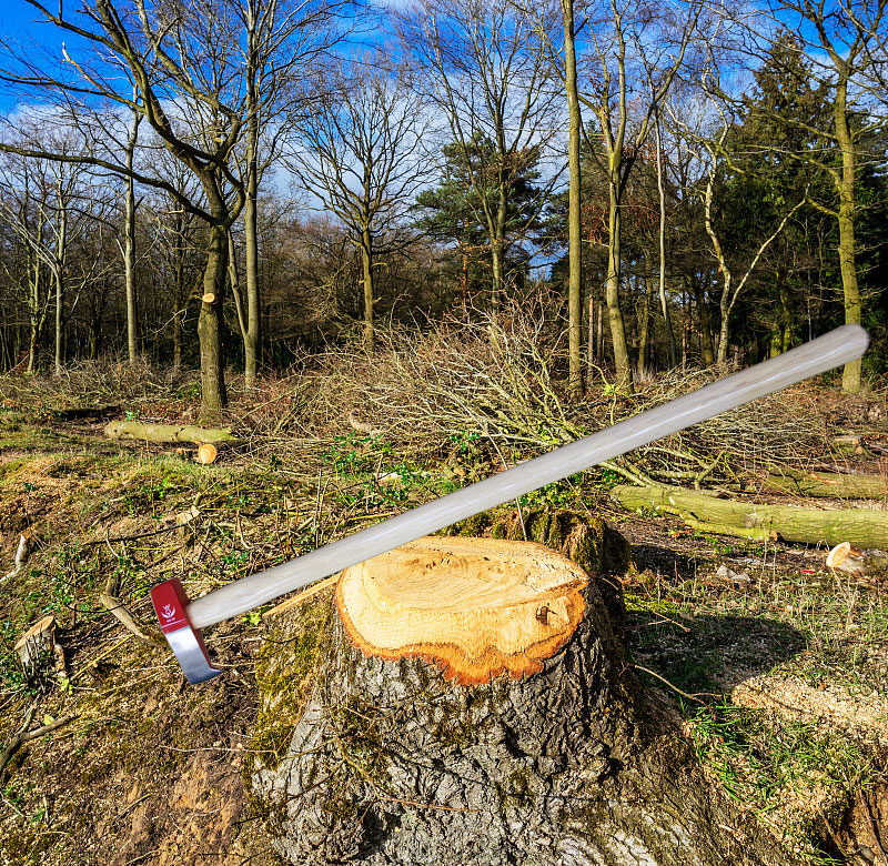 What kind of wood does the axe handle use